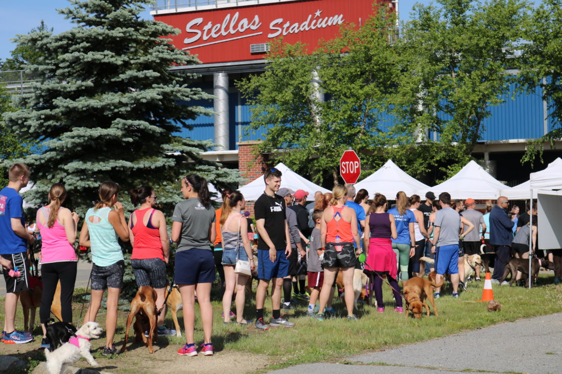 2nd annual Dog Jog brings all the barkers to the park News, Sports